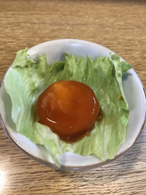 Tori Soba Dinosaur photo 5