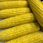 イル カンパネッロ - 季節の美味しい野菜