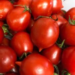 イル カンパネッロ - 美味しい野菜　ピエンノロトマト