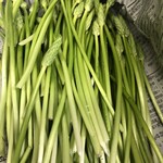 イル カンパネッロ - ヨーロッパから届く季節の野菜