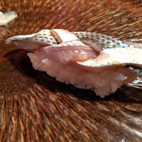 江戸心 山ぼうし - 