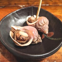 江戸心 山ぼうし - 