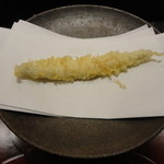 天雅 - さより（半身）