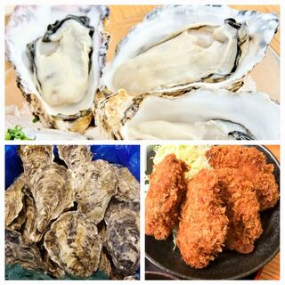 This week's selection of Oyster