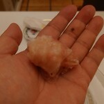 ペレグリーノ - 炊きあがりの日本のお米（岩手県の遠野4号）と一緒に