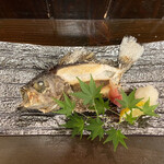 かもめ食堂 - ハチメの塩焼き