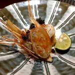 名駅 鮨 Sublime - ぼたんエビ