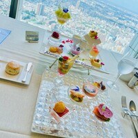 サンシャイン クルーズ・クルーズ - 