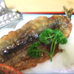 くまっこ食堂 - サンマの蒲焼き