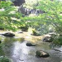 がんこ 高瀬川二条苑 - 風情のあるお庭♪