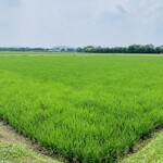 レストランRyu - 