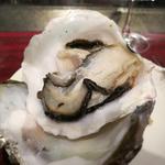 ワイン懐石 銀座 囃shiya - 岩牡蠣