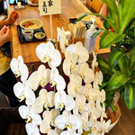 おうどん 瀬戸晴れ - 師匠も応援してます^ ^