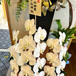 おうどん 瀬戸晴れ - 老舗山田家さんも応援してます