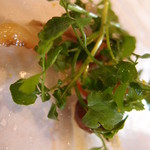 ウシマル - 朝取り野菜