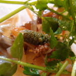 ウシマル - つくしんぼ