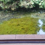 しまばら水屋敷 - 