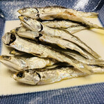 本格手打 もり家 - 