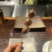 YAKITORI 燃 es - 