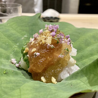 日本料理 晴山 - 加賀太胡瓜と鱧の梅和え
                    蓮の葉に盛り付けた料理、涼やかです♪
                    鱧の骨を低温で揚げ砕いて添えていますがその食感がアラレの様でとても良いアクセントです。
                    叩きオクラの粘りと梅肉が鱧に合います。
                    