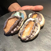 YANAGI TePPaN UNBORN GASTRONOMY - 