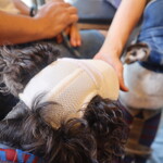 和の牛かた山 - 女将さんからウマウマを貰うにいたん