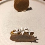 ル スプートニク - 7/16