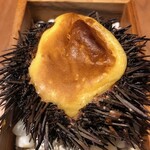 ル スプートニク - 7/16