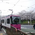 Kammi Dokoro Ippuku Tei - 庚申塚駅から都電に乗り、飛鳥山に花見へ(^^)