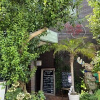 レストラン かぼちゃわいん 本店 - 