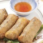 BIJIYA - 揚げ春巻き