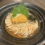 TsuruTonTan Udon Noodle Brasserie - HIYASHI UNI UDON $24