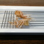 旬彩 天ぷら 心来(しんら） - 