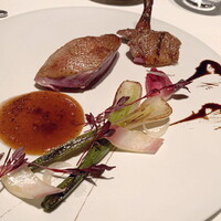 ジョンティ アッシュ - ラカン産鴨