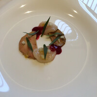 クイントカント - 