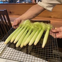 HAGI - 