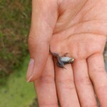 ベーカリーツキヨシ - 