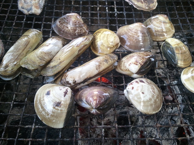 hamaguchikaisan - 云仙市/海鲜