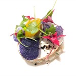 サンプリシテ - 