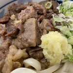 Shimono Udon Souan - 