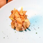 サンプリシテ - 