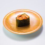 Special sea urchin [consistent]