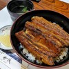 炭焼うなぎ 加茂