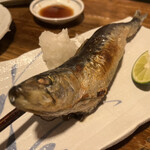 居酒屋 ちょーちょ - 