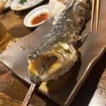 居酒屋 ちょーちょ - 