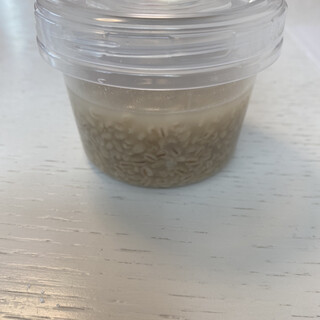 ネパール雑貨と紅茶の店 Shantea_1