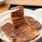 Ichifuji - 上鰻丼