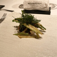 カンテサンス - 