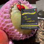 ラ・ヴァガボンド - 