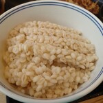 吉野家 - 麦飯オン白ライス。